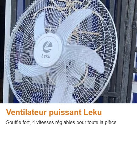 Ventilateur puissant Leku - souffle fort, 4 vitesses réglables